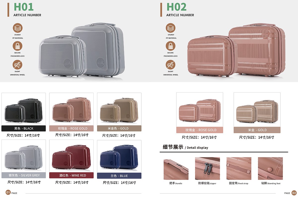PP Carry-on Luggage Combo