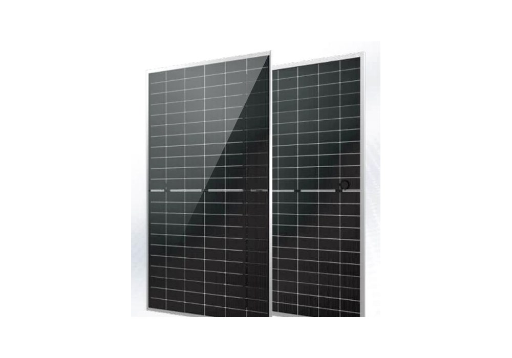 Eagle Pro-66HD Bifacial Panel